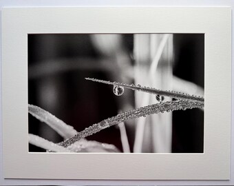 Morning Reflections-Photo printed on archival photo paper