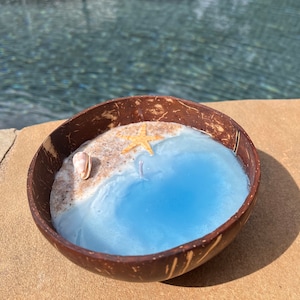 May include: A blue and white coconut shell candle with a seashell and starfish on top. The candle is shaped like a beach scene with a blue ocean and a white sandy beach.