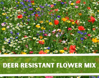 Deer Resistant Wildflower Seed Mix: Non-gmo Heirloom Seeds - Etsy