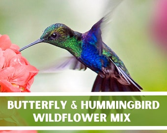 Butterfly & Hummingbird Wildflower Seed Packet