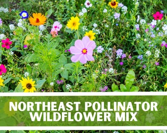 May include: A vibrant wildflower mix with a variety of colors, including pink, purple, yellow, orange, and blue. The mix is labeled "Northeast Pollinator Wildflower Mix".