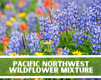 Pacific Northwest Wildflower Seed Mix: Non-GMO, Native, 200+ Seeds