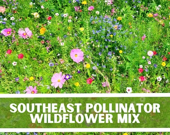 Southwest Pollinator Wildflower Mixture, Over 200 Seeds, Wildflower seeds, non-GMO Seeds