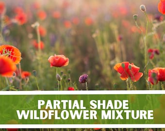 Partial Shade Wildflower Seeds: Heirloom Garden Seed Packets