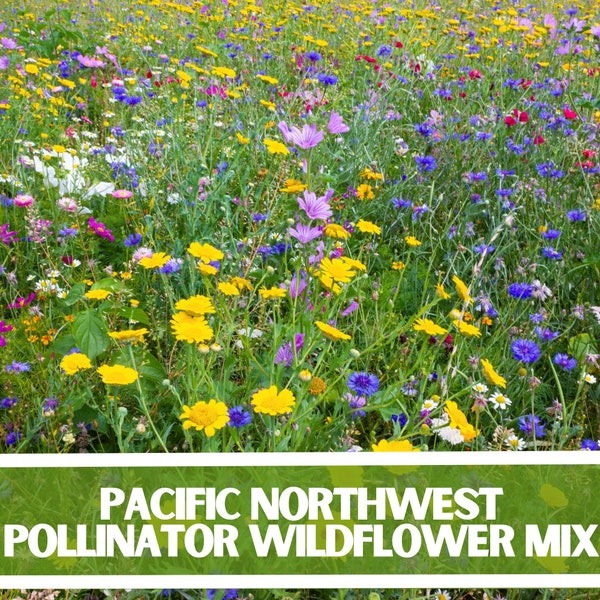 Pacific Northwest Pollinator Wildflower Mixture, Over 200 Seeds, Wildflower seeds, non-GMO Seeds