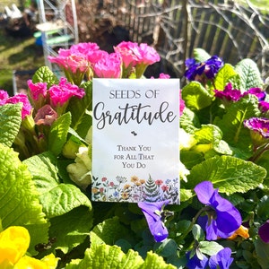 Set of 10 - Seeds of Gratitude - thank you seed packet, baby shower, mothers day, earth day, non- gmo 1500 seeds included