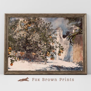 Orange Tree Vintage Print, Spanish Garden Tree in Watercolor, Watercolor Print of orange tree | 1035