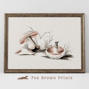 Pilz Skizze botanischer Druck, Feldpilze Aquarell Illustration Wandkunst, Naturgeschichte Kunst Vintage Druck in der Natur der Pilze