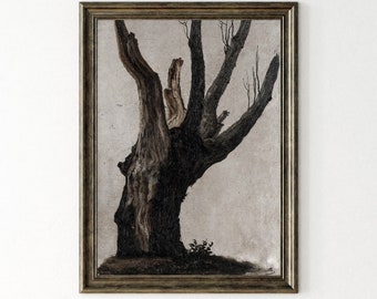May include: A framed print of a black and white photograph of a bare tree with a textured bark against a light brown background.
