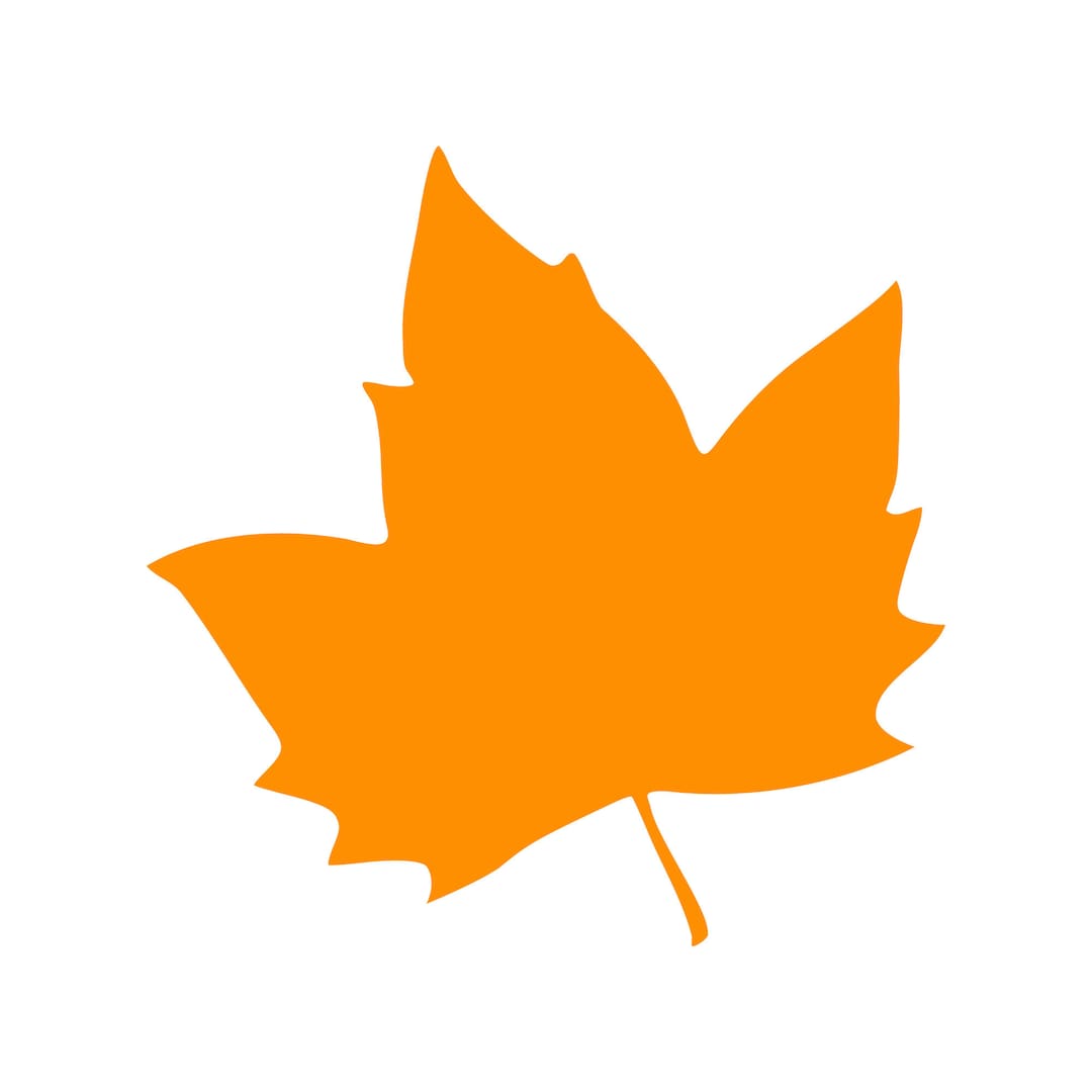 Detailed Fall Vector Detailed Fall Leaf Icon Vector Download - Etsy UK