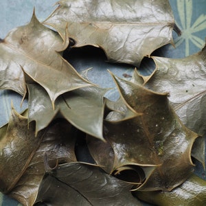 May include: A collection of dried, brown leaves with jagged edges, arranged on a green surface with a book titled "Familiar Wild Flowers" visible in the background.
