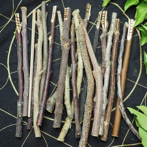 Long Celtic Tree Ogham Set for divination - Made with Corresponding Woods - Pagan, Wicca, Witchcraft