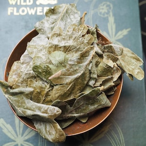 May include: A small copper bowl filled with dried oak leaves. The leaves are a light brown color and have a slightly fuzzy texture.