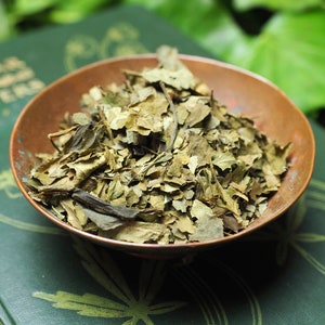 English Elder Leaves - Crone Wisdom, Healing  - Incense, Spellwork or Charms - Pagan, Wicca, Witchcraft