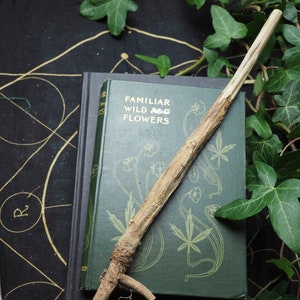 English Mullein Herb Wand - Fire Wand - Pagan, Wicca, Witchcraft, Herb, Witches Wand