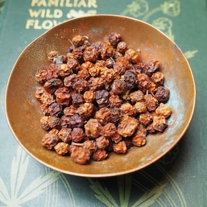 English Rowan Berries - Protection, Work with the Fey  - Spellwork or Charms - Pagan, Wicca, Witchcraft, Ogham Tree