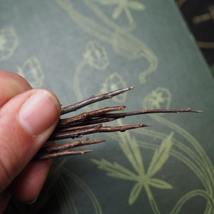 May include: A bundle of thin, brown twigs, some with small branches, held in a hand.