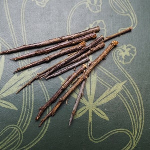 May include: A collection of thin, brown twigs arranged on a green surface with a decorative pattern. The twigs are various lengths and appear to be natural.