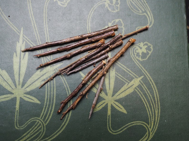 May include: A collection of thin, brown twigs arranged on a green surface with a decorative pattern. The twigs are various lengths and appear to be natural.