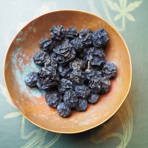 English Sloes - Blackthorn Berries - Protection, Blasting - Spellwork or Charms - Pagan, Wicca, Witchcraft
