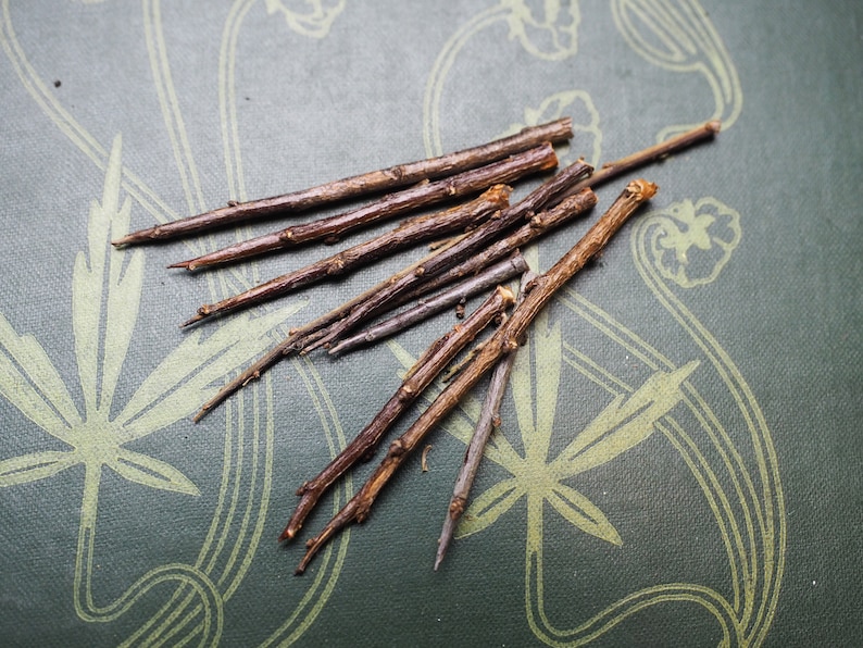 May include: A collection of thin, brown twigs arranged in a fan shape on a green patterned surface.