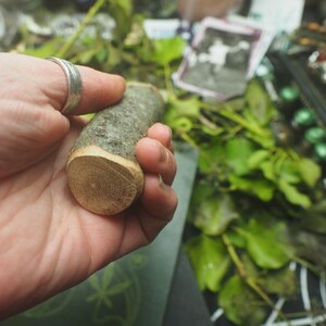 May include: A small, cylindrical piece of wood with a light gray bark and a cut end revealing concentric growth rings. The wood is held in a hand, suggesting a natural craft item or component.