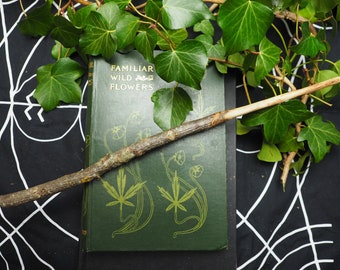 English Walnut Wood Wand - protection - breaking psychic ties- Pagan, Wicca, Witchcraft