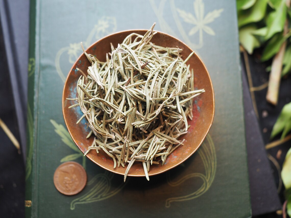 English Rosemary for Memory Ancestors and Cleansing Etsy