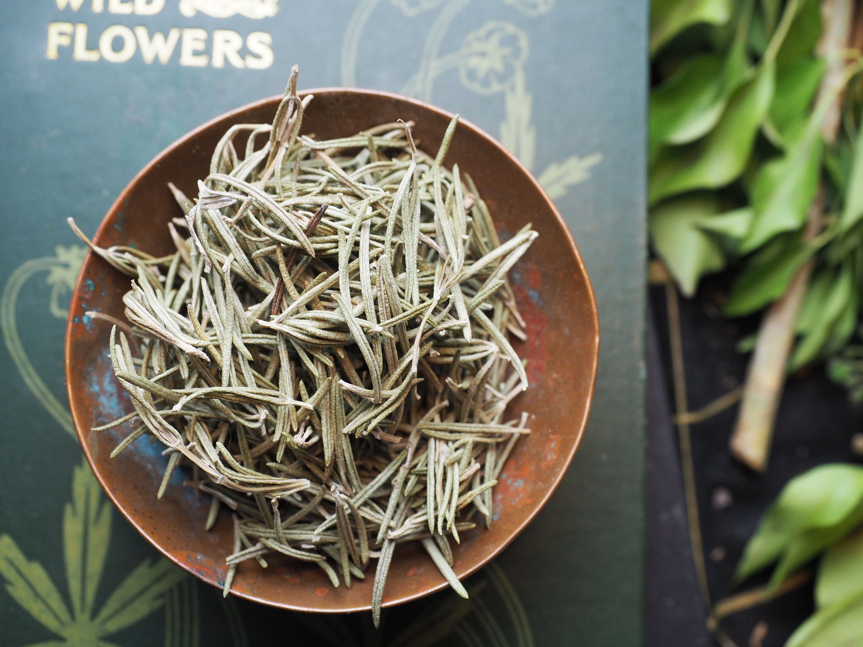 English Rosemary for Memory Ancestors and Cleansing Etsy