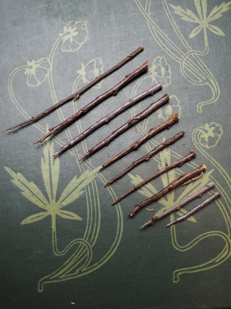 May include: A collection of eight brown twigs of varying lengths and thicknesses arranged on a green surface with a floral pattern.