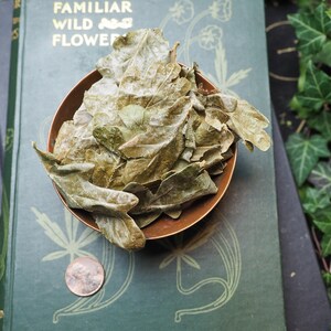 May include: A small copper bowl filled with dried oak leaves. The bowl is sitting on top of a green book with the title "Familiar Wild Flowers".