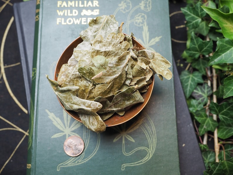May include: A small copper bowl filled with dried oak leaves. The bowl is sitting on top of a green book with the title "Familiar Wild Flowers".