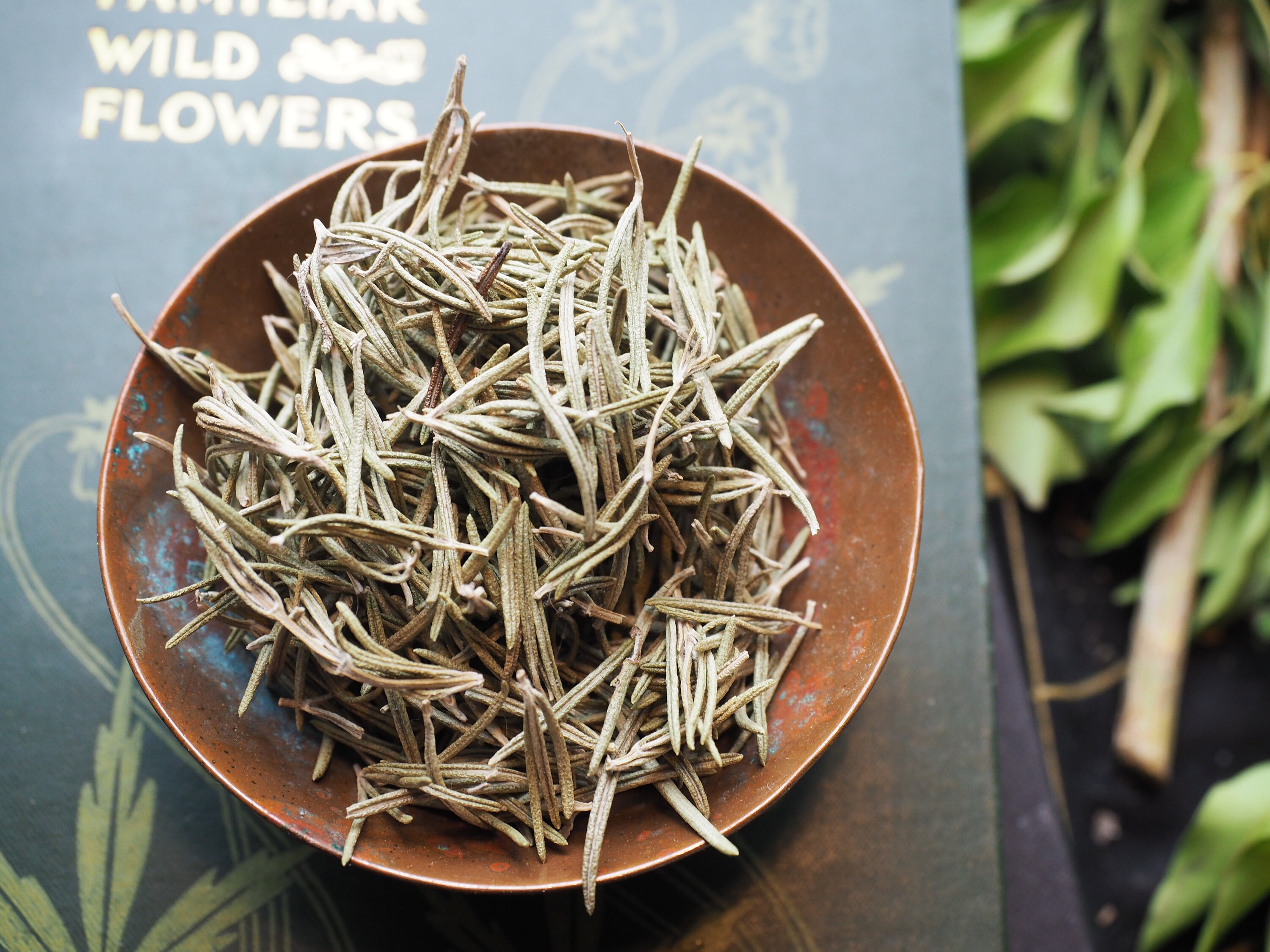 English Rosemary for Memory Ancestors and Cleansing Etsy