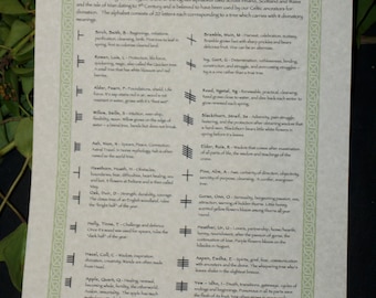 Parchment Book of Shadow Page - Runes, Ogham, Theban Alphabet, Grounding, Circle Casting, Zodiac Signs