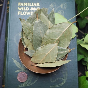 May include: A pile of dried bay leaves in a small copper bowl. The bowl is sitting on a green book with the text "Familiar Wild Flowers" on the cover.