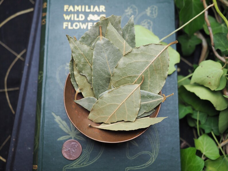 May include: A pile of dried bay leaves in a small copper bowl. The bowl is sitting on a green book with the text "Familiar Wild Flowers" on the cover.