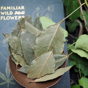 May include: A copper bowl filled with dried bay leaves. The bowl is sitting on a book with the title "Familiar Wild Flowers" on the cover.