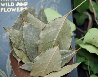 Dried, Greek Bay Laurel Leaves for Spellwork or Charms - Protection, Exorcism - Pagan, Wicca, Witchcraft, Wild-harvested