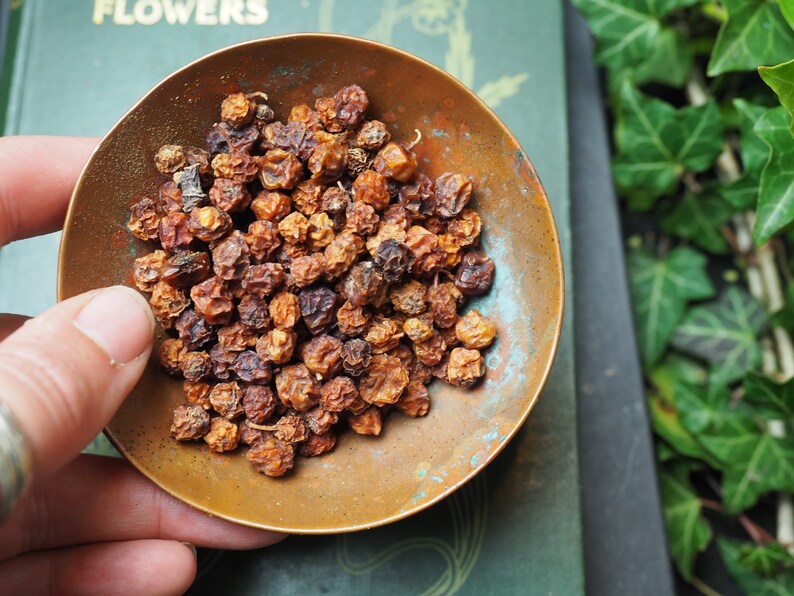 May include: A small, round, copper-colored bowl filled with dried, brown berries. The bowl has a weathered appearance with hints of blue-green patina. The berries are clustered together, and the image is set against a backdrop of a green book and foliage.