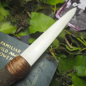 May include: A handcrafted wand with a cream-colored tip, wrapped with brown twine, and a dark wooden handle. The wand rests on a vintage book titled "Familiar Wild Flower" with gold lettering, surrounded by green leaves and a small black and white photograph.