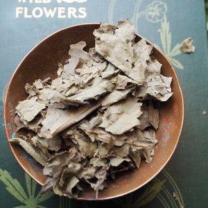 May include: A copper-colored bowl filled with dried, light brown leaves. The bowl sits on a dark green book with the words "Wild Flowers" visible. The leaves appear to be oak leaves.