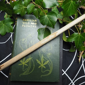 Unusual Reed Wand Ngetal Healing for Pagans, Witches, Wiccans, Magic ...