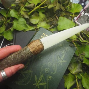 May include: A handcrafted ritual wand with a wooden handle and a creamy white, pointed tip. The handle is wrapped with natural twine. The wand rests on a green book with botanical illustrations, surrounded by green foliage.