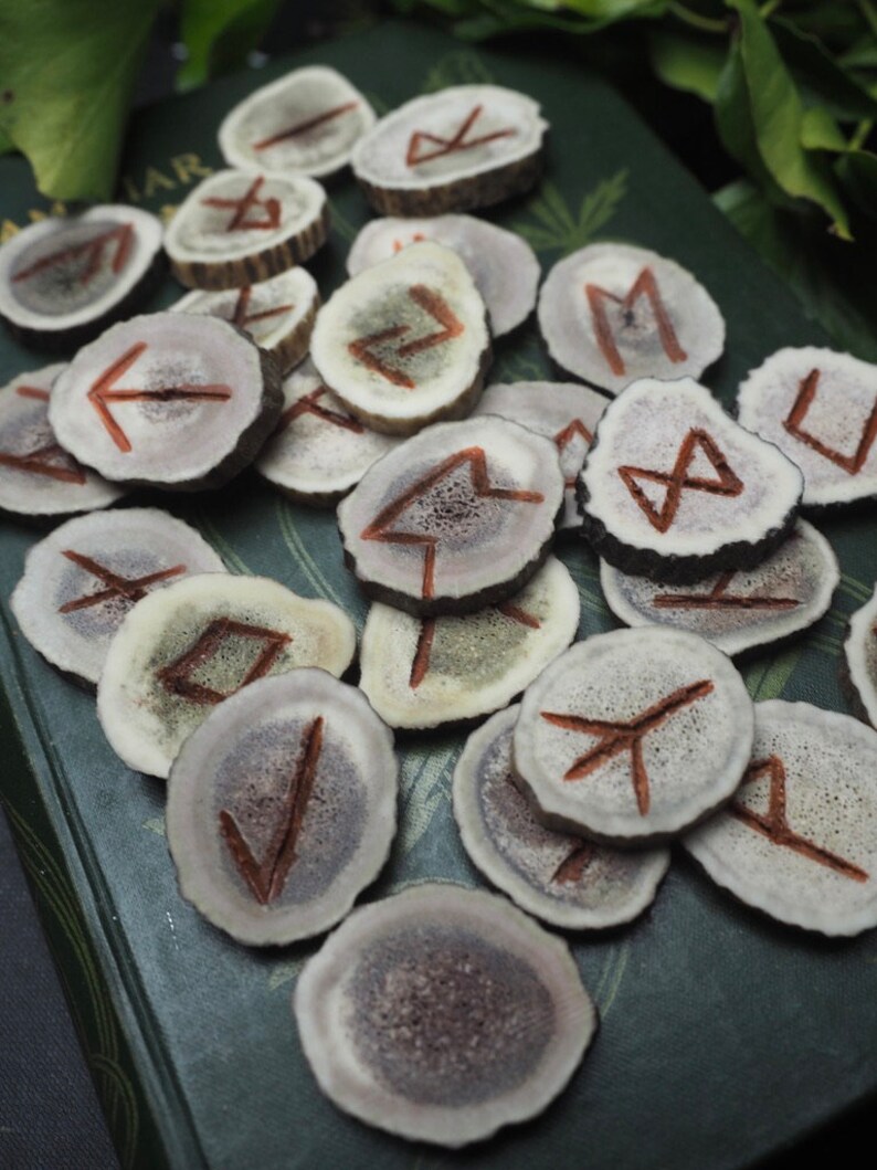 Elder Futhark Carved Antler Runes With Red Ochre - Pagan, Norse ...