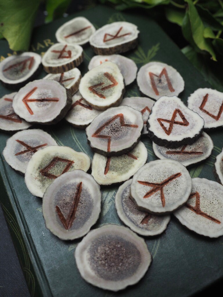 Elder Futhark Carved Antler Runes With Red Ochre - Pagan, Norse ...