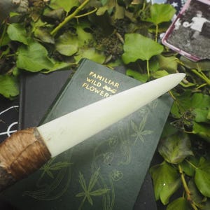 May include: A white, dagger-shaped tool with a wooden handle wrapped in brown twine, resting on a dark green book with gold lettering. The book is surrounded by green leaves and a vintage photograph.
