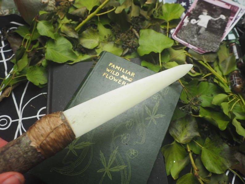 May include: A white, dagger-shaped tool with a wooden handle wrapped in brown twine, resting on a dark green book with gold lettering. The book is surrounded by green leaves and a vintage photograph.