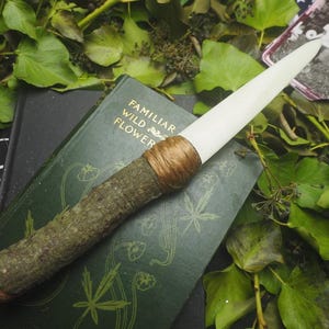 May include: A handcrafted wand with a wooden handle and a white tip, bound with twine. The wand rests on a vintage green book titled "Familiar Wild Flower" surrounded by green foliage and a small photograph.