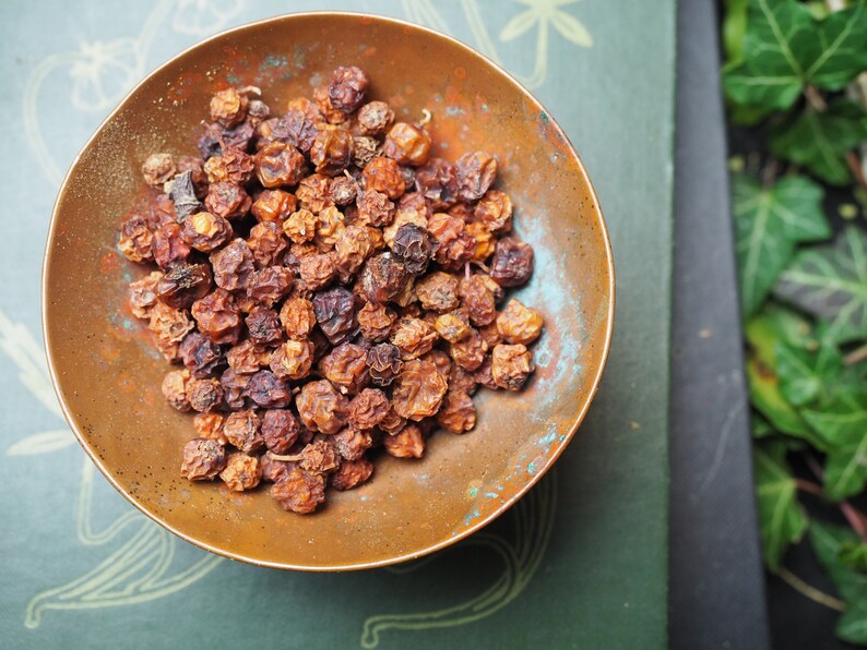 May include: A copper-colored bowl filled with dried, brown berries. The bowl has a slightly raised rim and sits on a green surface. The berries are small and clustered together, with a textured appearance. The background includes green foliage.