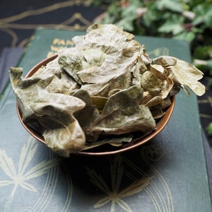 May include: A small copper bowl filled with dried, light brown leaves. The bowl is sitting on a green surface with a white pattern.